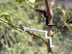 Tam Bodur Dal Açma Aparatı