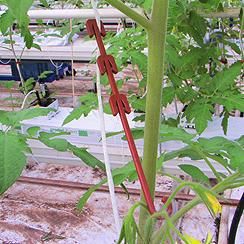 Domates Salkım Askısı 12 cm Kahverengi