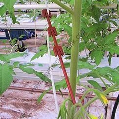 Domates Salkım Askısı 12 cm Kahverengi