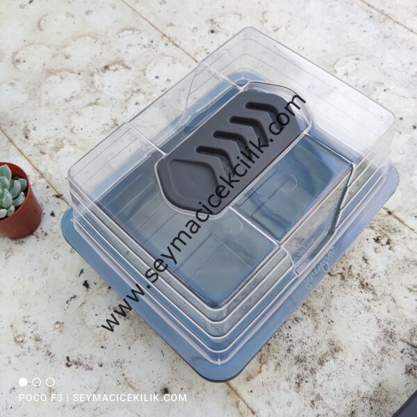 Kaktüs Tohum çimlendirme kabı- Küçük boy