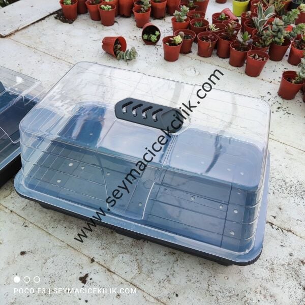 Kaktüs Tohum çimlendirme kabı- Büyük boy