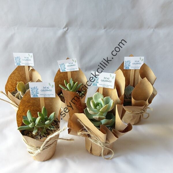 Canlı Nikah Şekerleri Craft - 50 li