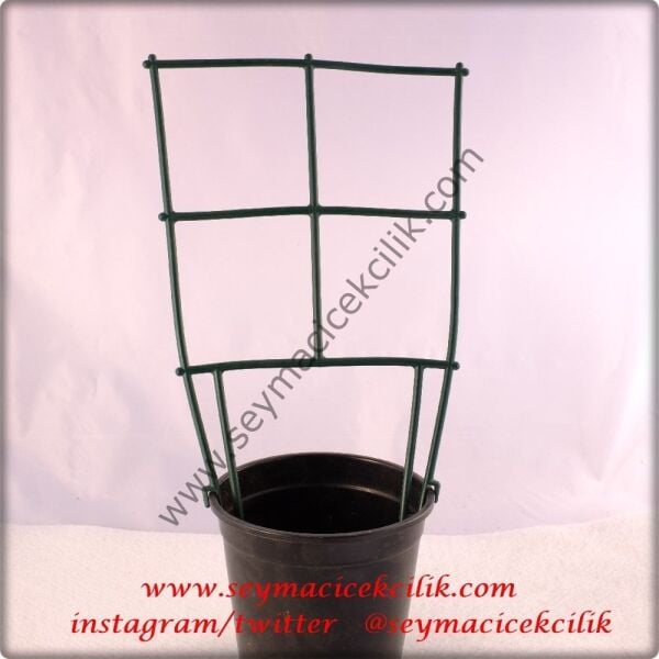 Sarmasık Çit- 5 adet