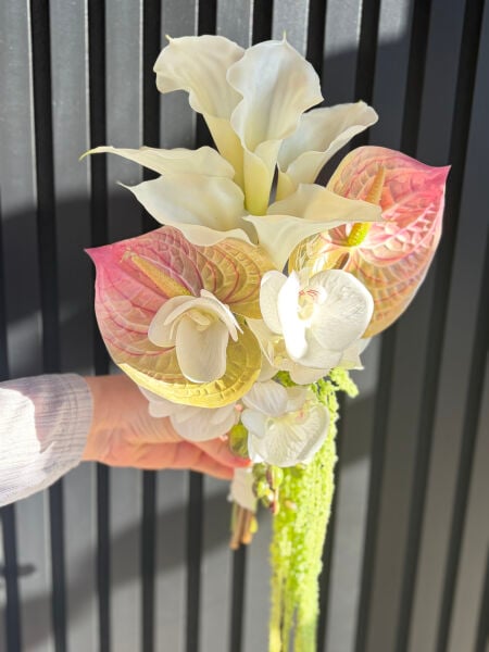 Anthurium