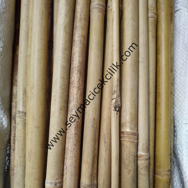 Bambu Çubuk- 300 cm - 20-22mm --  1 Adet