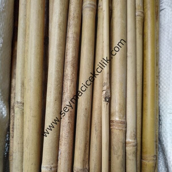 Bambu Çubuk- 295cm / 50-60mm Mosso Bambu -- 1 Adet