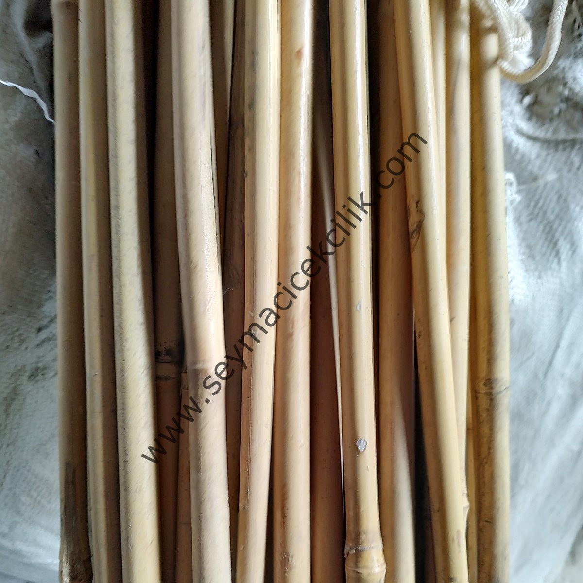 Bambu Çubuk- 295cm / 50-60mm Mosso Bambu -- 1 Adet