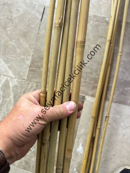 U Bambu- 5 Adet
