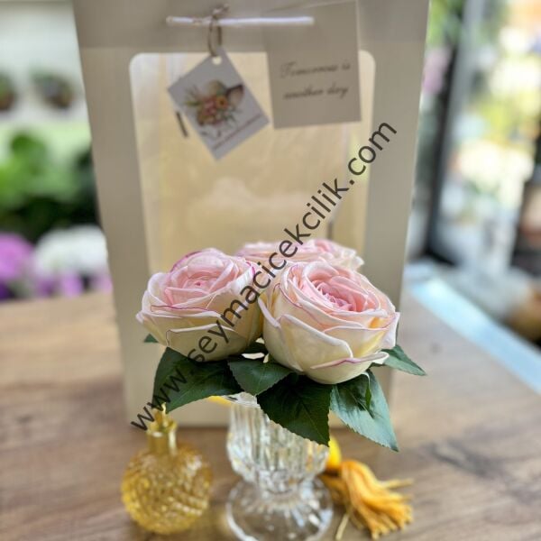 Allıklı ıslak Gül - Ücretsiz kargo/nakliye