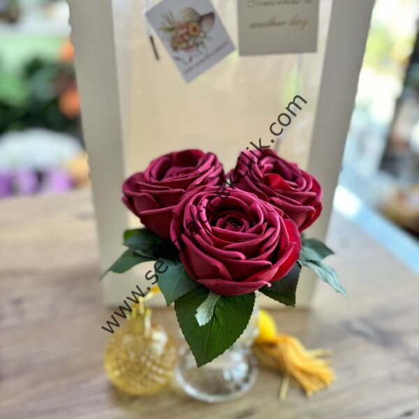 Kırmızı ıslak Gül - Ücretsiz kargo/nakliye