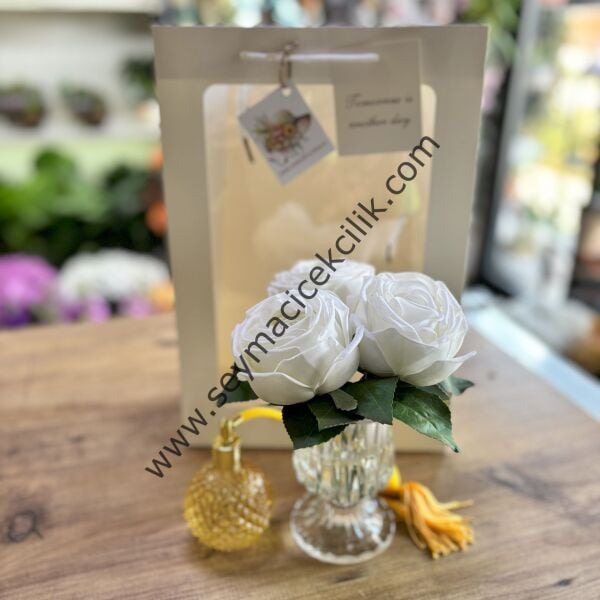 Beyaz ıslak Gül - Ücretsiz kargo/nakliye