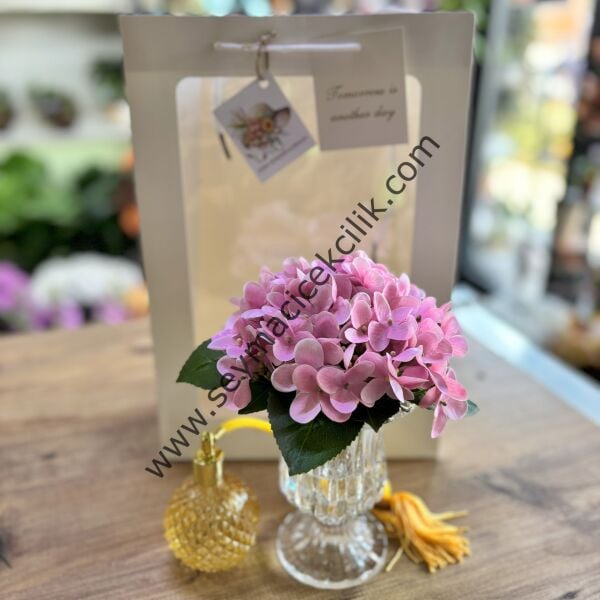 Pembe Islak Ortanca - Ücretsiz kargo/nakliye