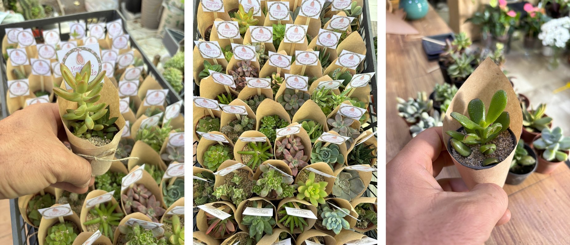 Gelin arabası süsleme