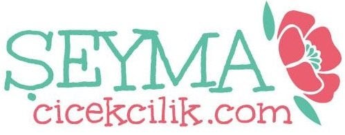 Islak Beyaz Ortanca - Ücretsiz kargo/nakliye